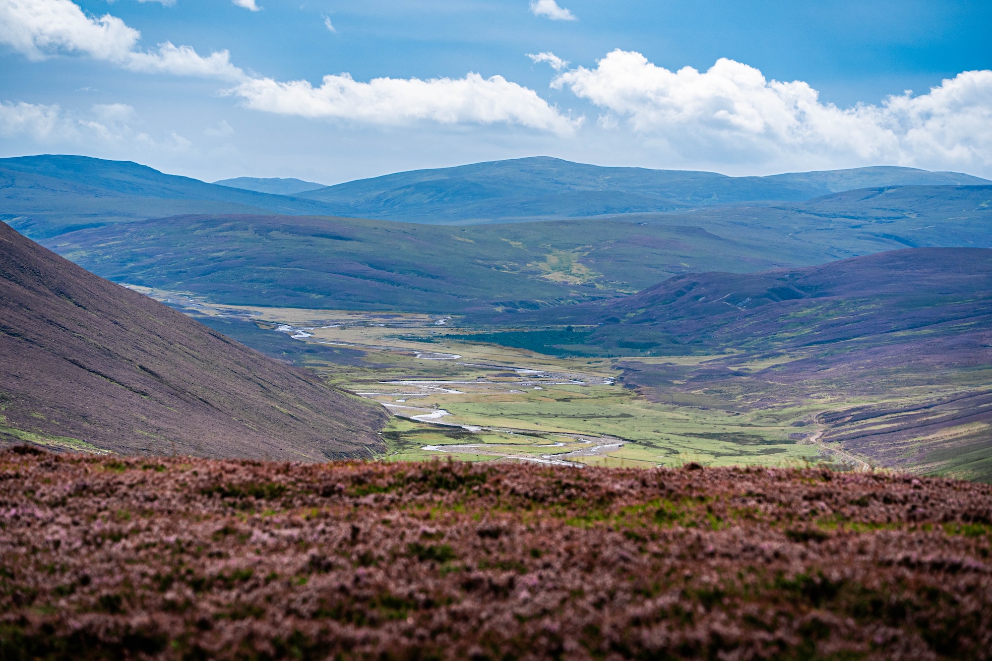 Oxygen Conservation acquires 10,000-acre Kinrara Estate from BrewDog