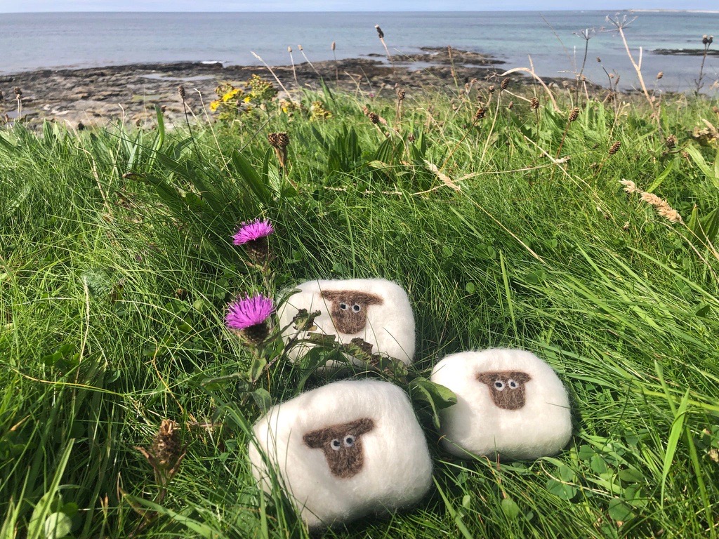 Uist Soap Company expands into new purpose-built studio