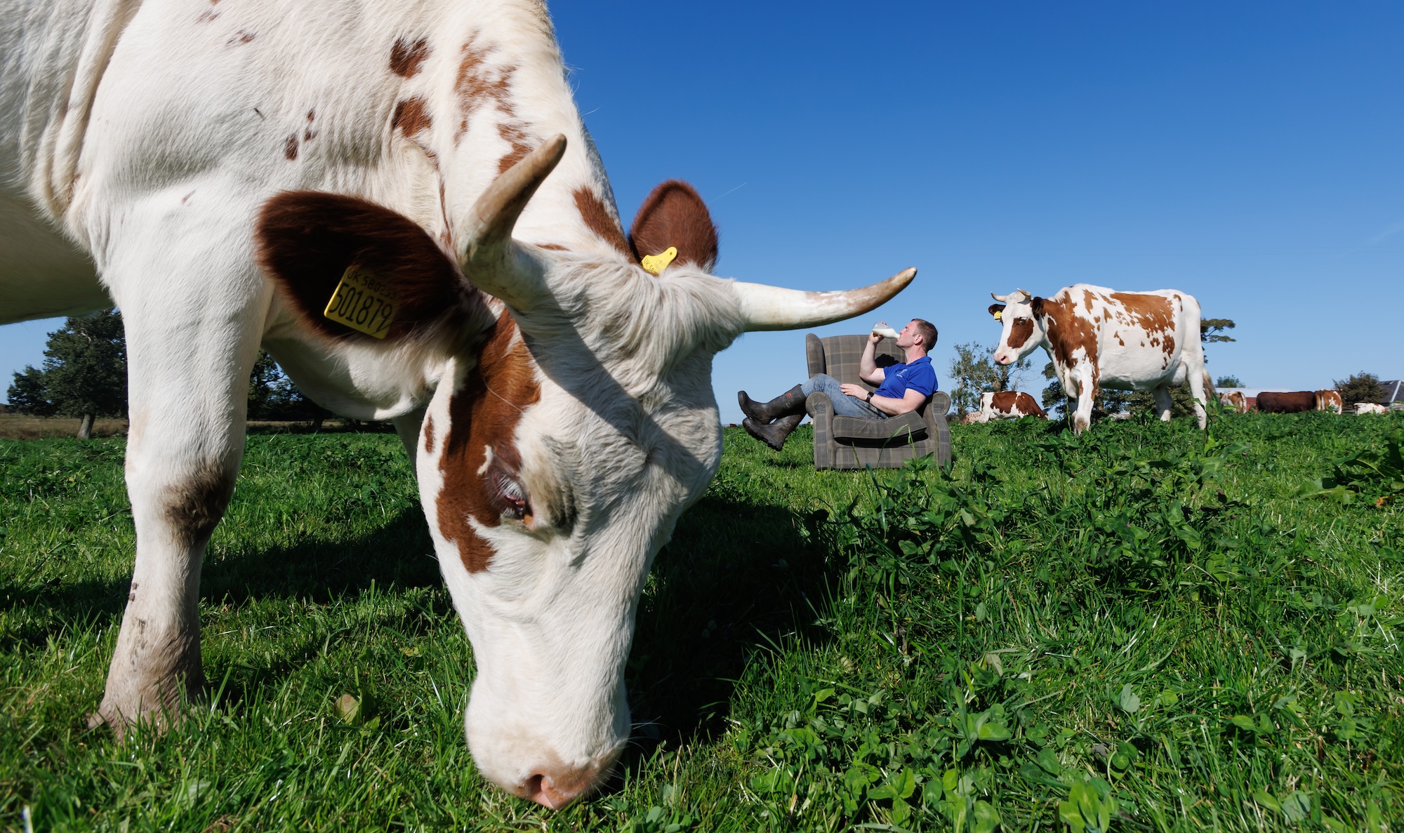 Burns country dairy takes Brings 'low and slow' milk to London