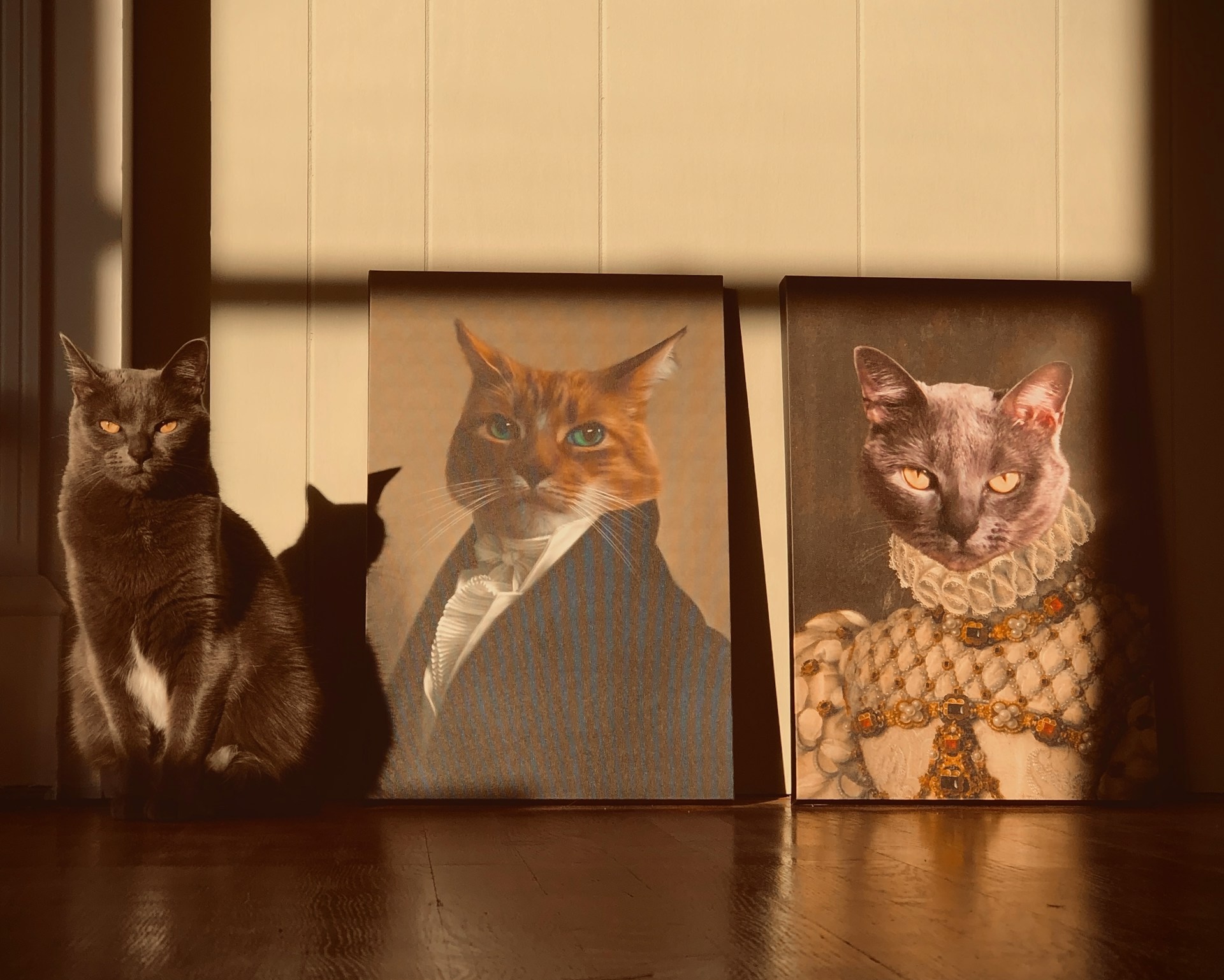 And finally... purr-fect find