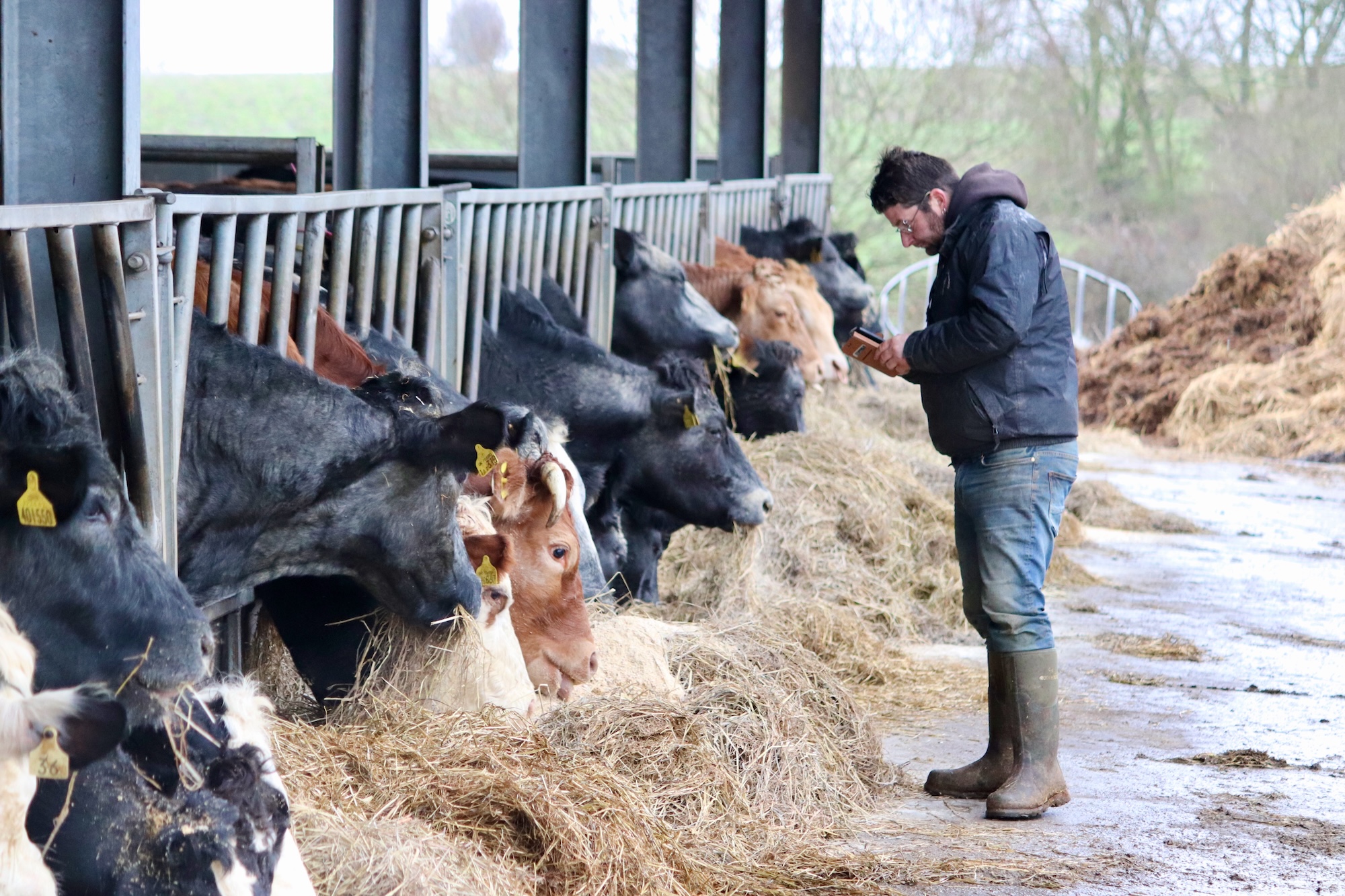 Scottish agri-tech firm iLivestock raises £750,000 to expand globally