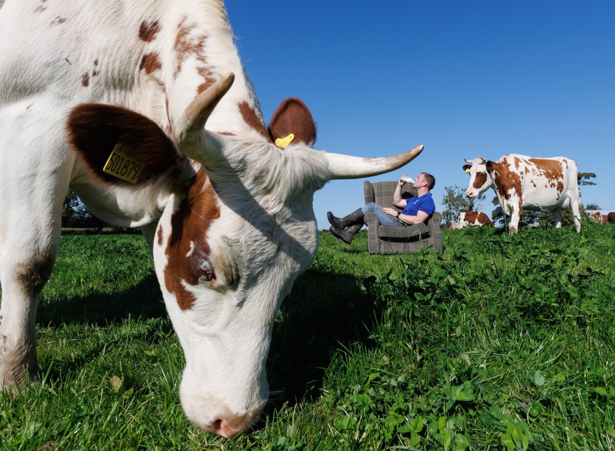 Featured article image