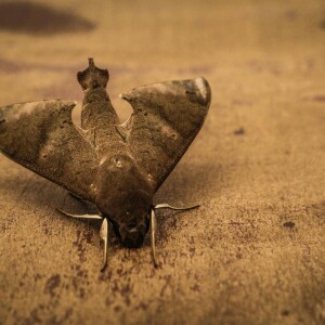 And finally… riches to rags Scottish Financial News