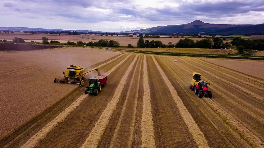 Fife family farm launches craft malt business with HSBC UK support