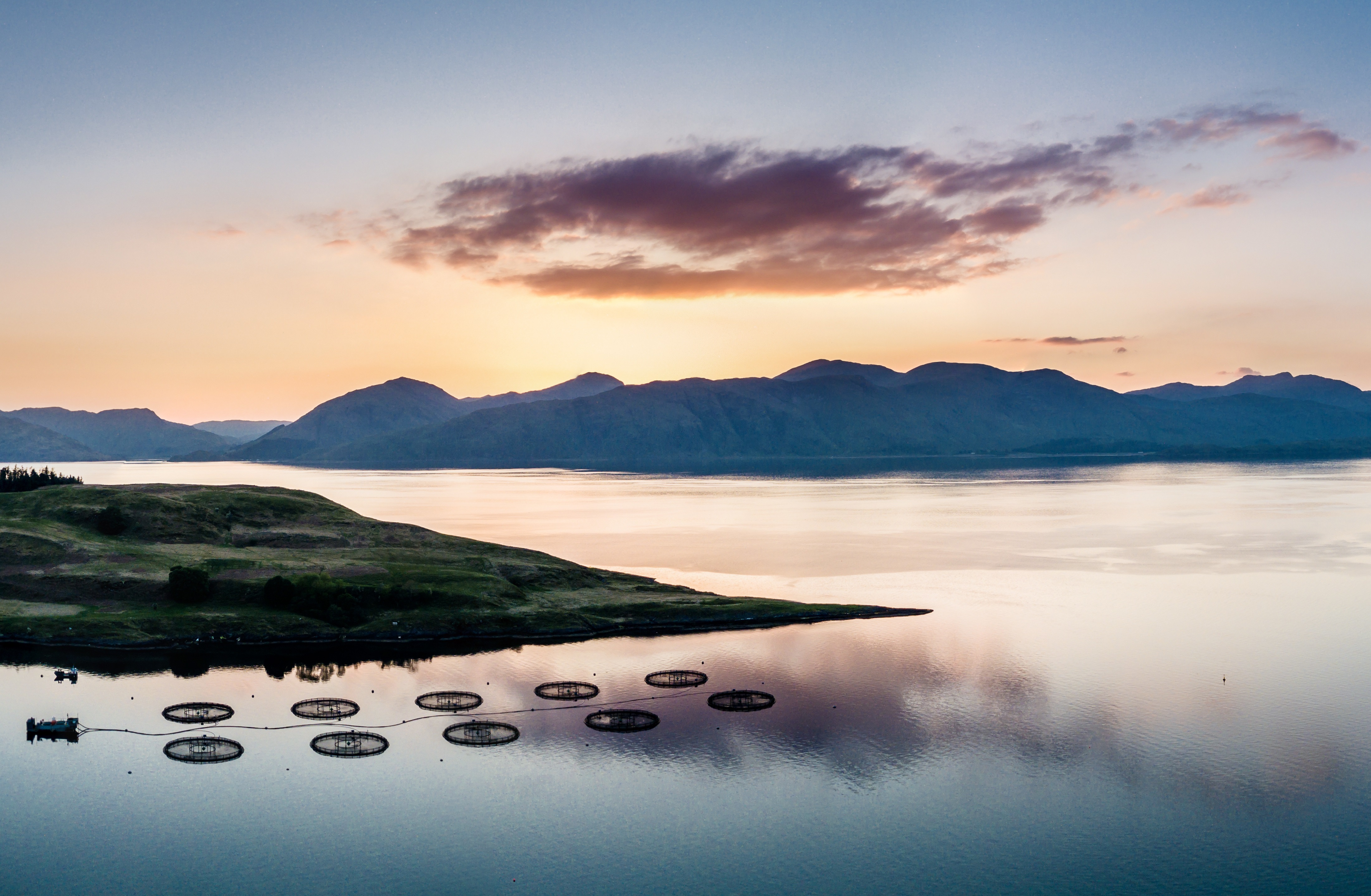 Scottish Aquaculture Innovation Centre receives £10m investment