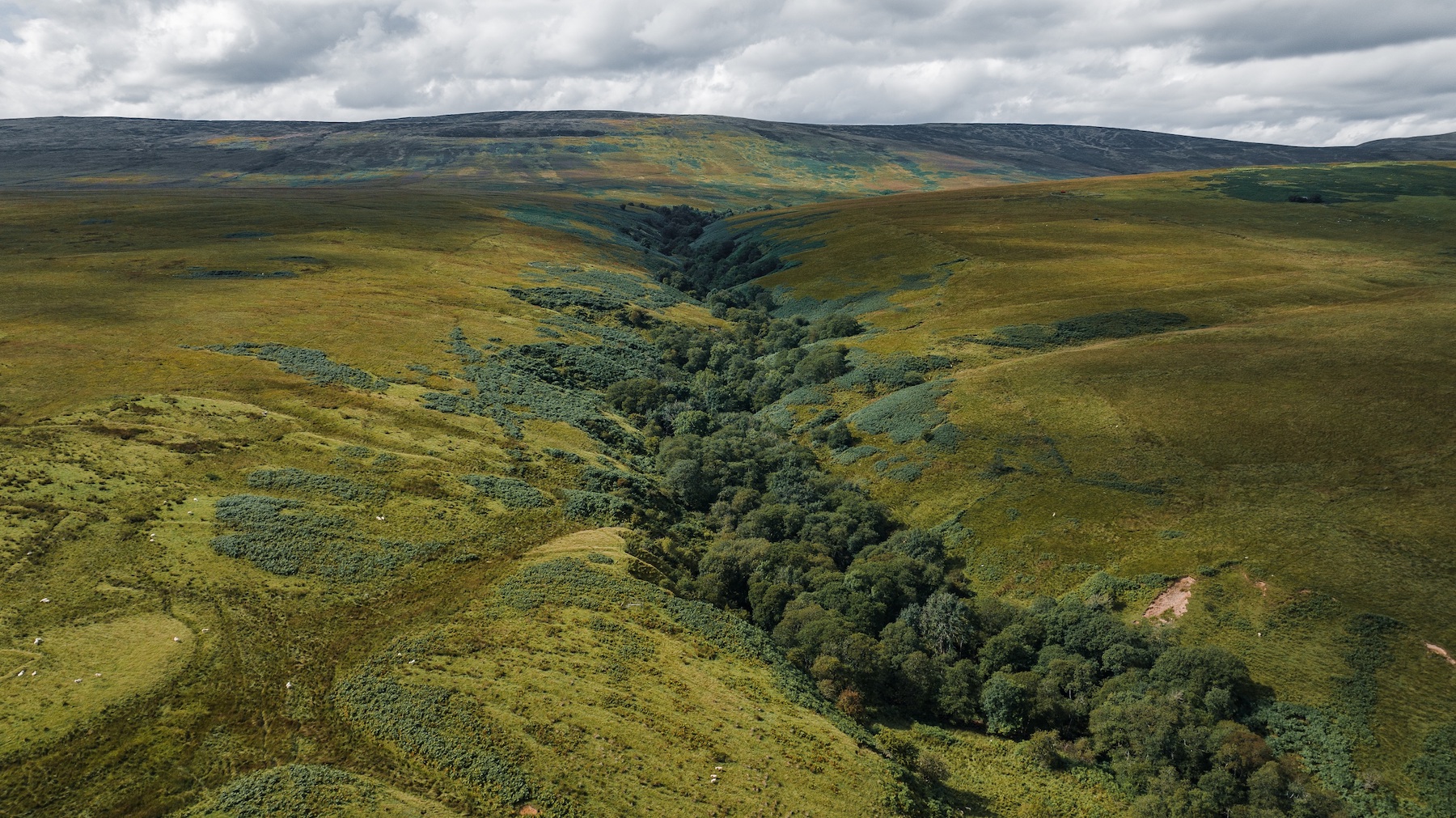 Oxygen Conservation expands conservation efforts with £20m loan and 23,000 acres in Scotland