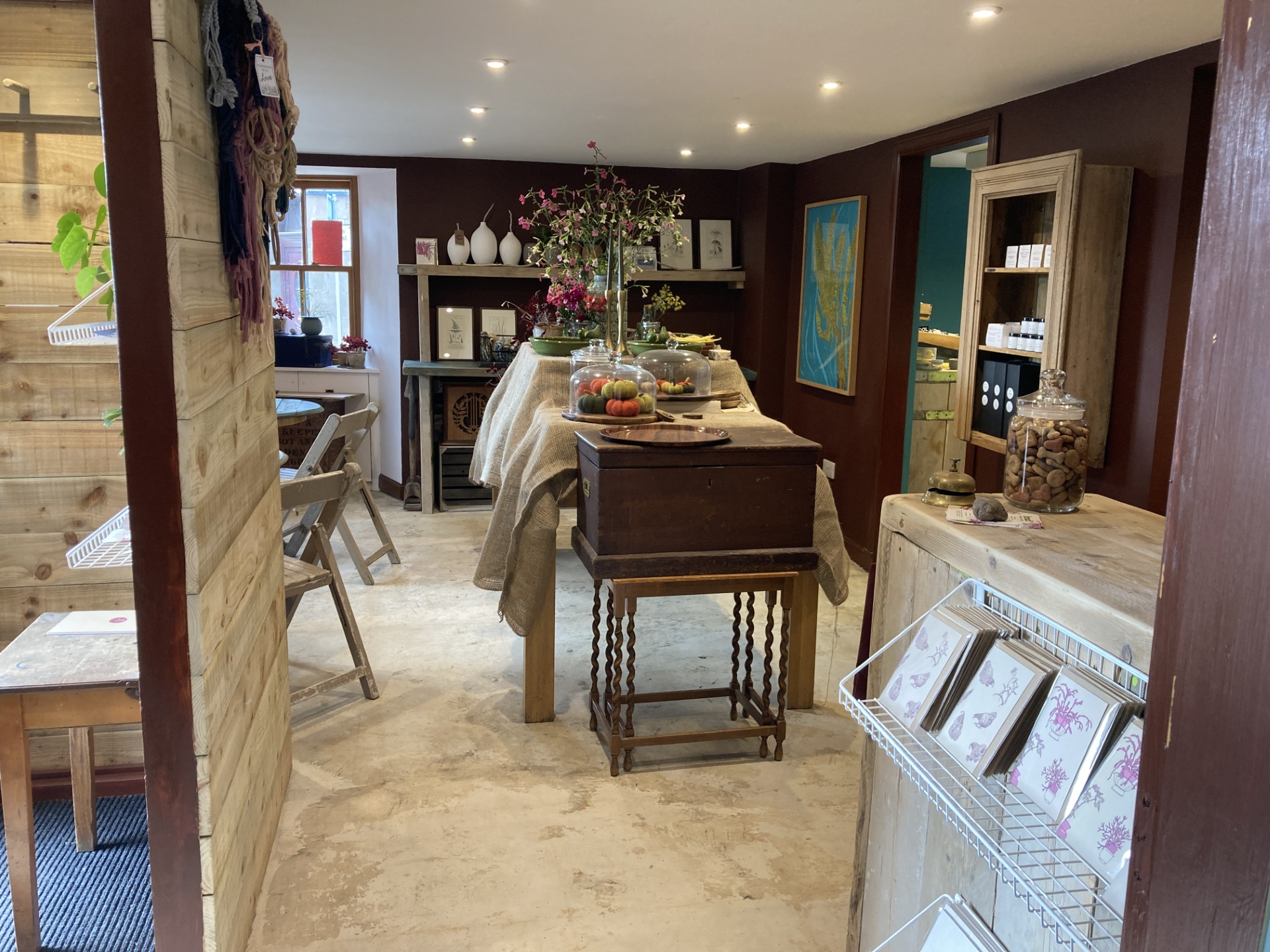 Couple's passion for plants cultivates new Stonehaven business