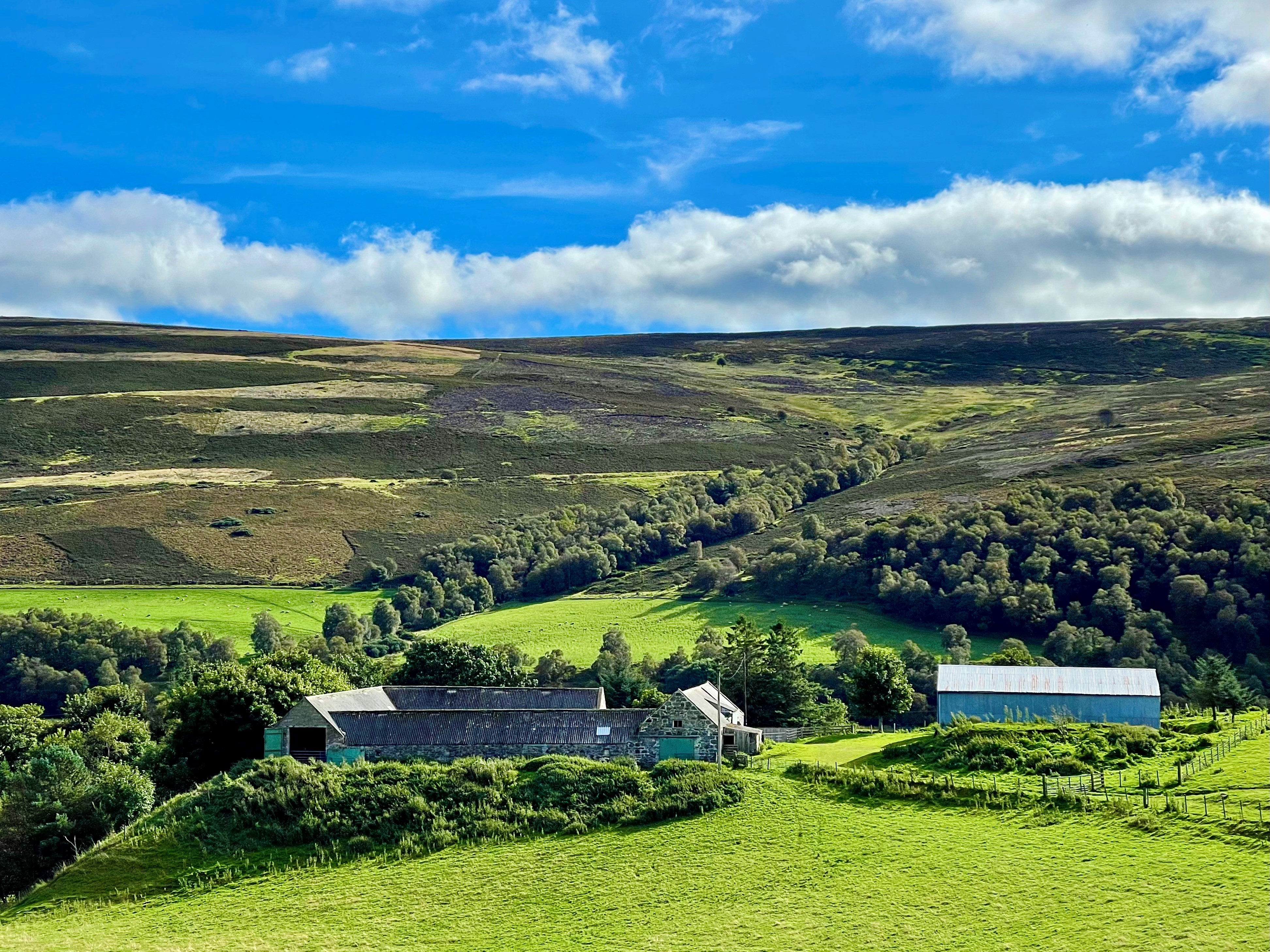 Community to create a one-of-a-kind distillery in reputed ‘birthplace of malt whisky’