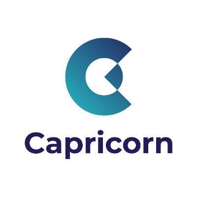 CEO and chair and directors step down from Capricorn board over proposed merger