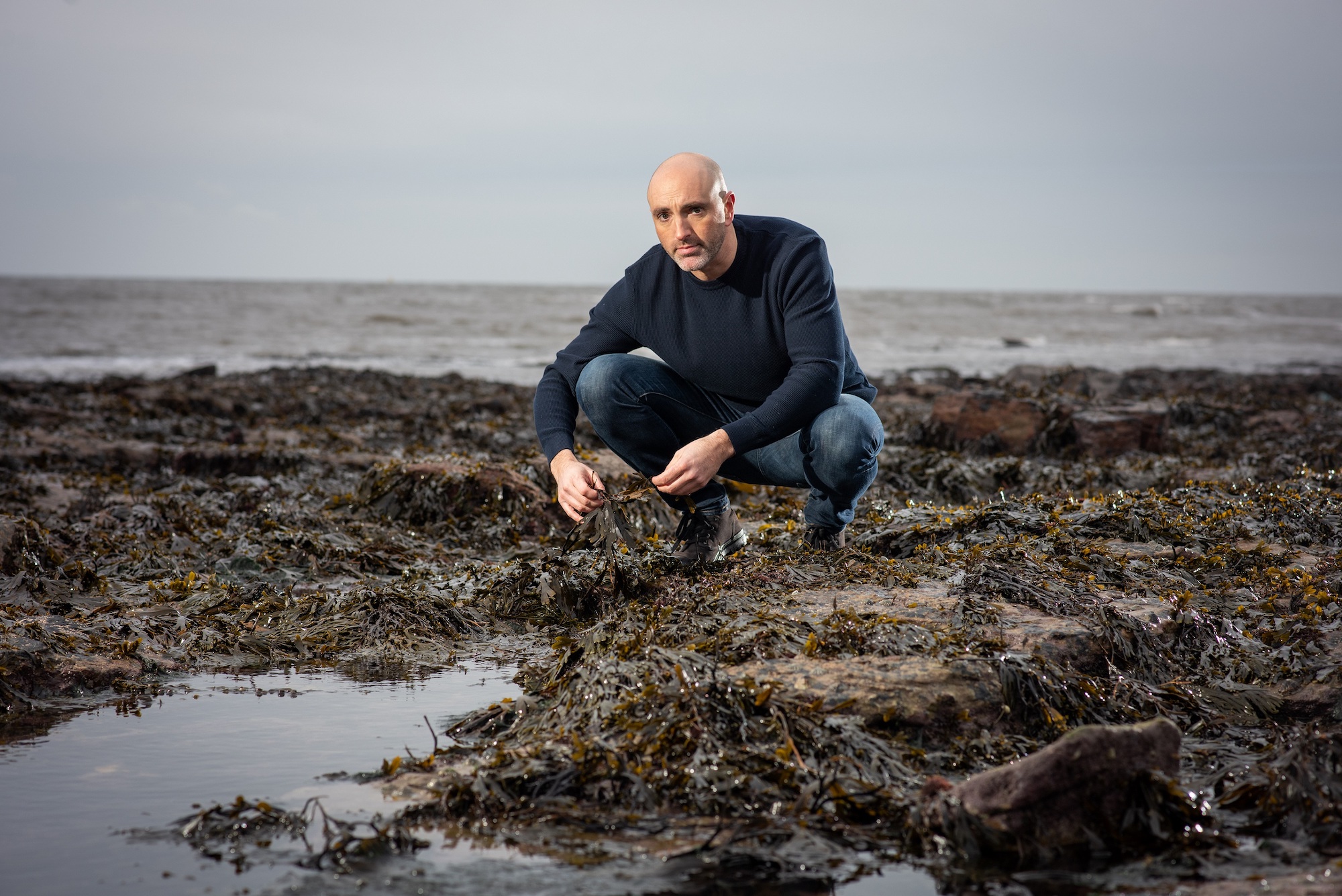 Doctor prescribes global expansion for Scottish seaweed firm