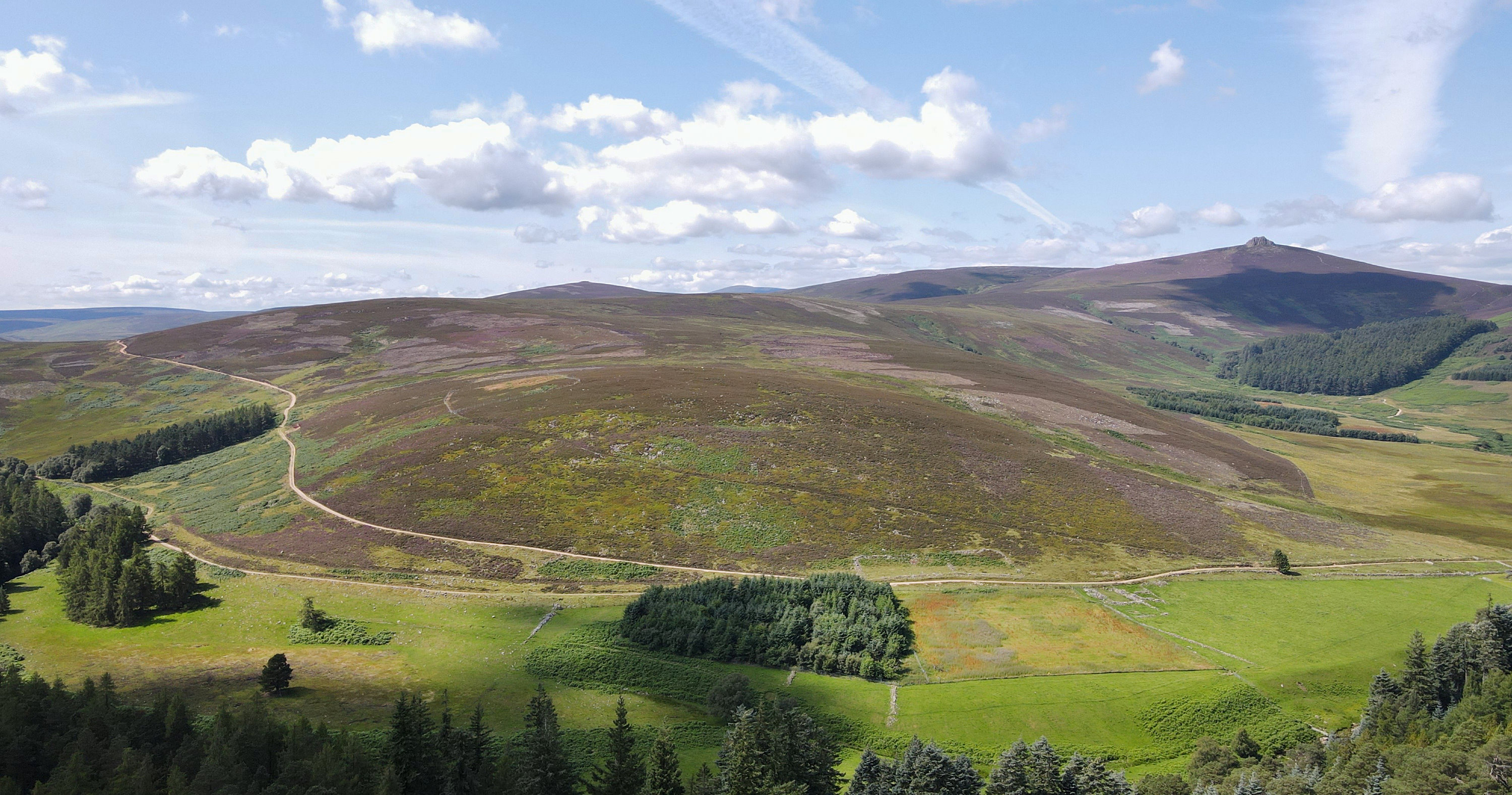 Par Equity and Aviva Investors unveil plans for woodland creation on Glen Dye Moor