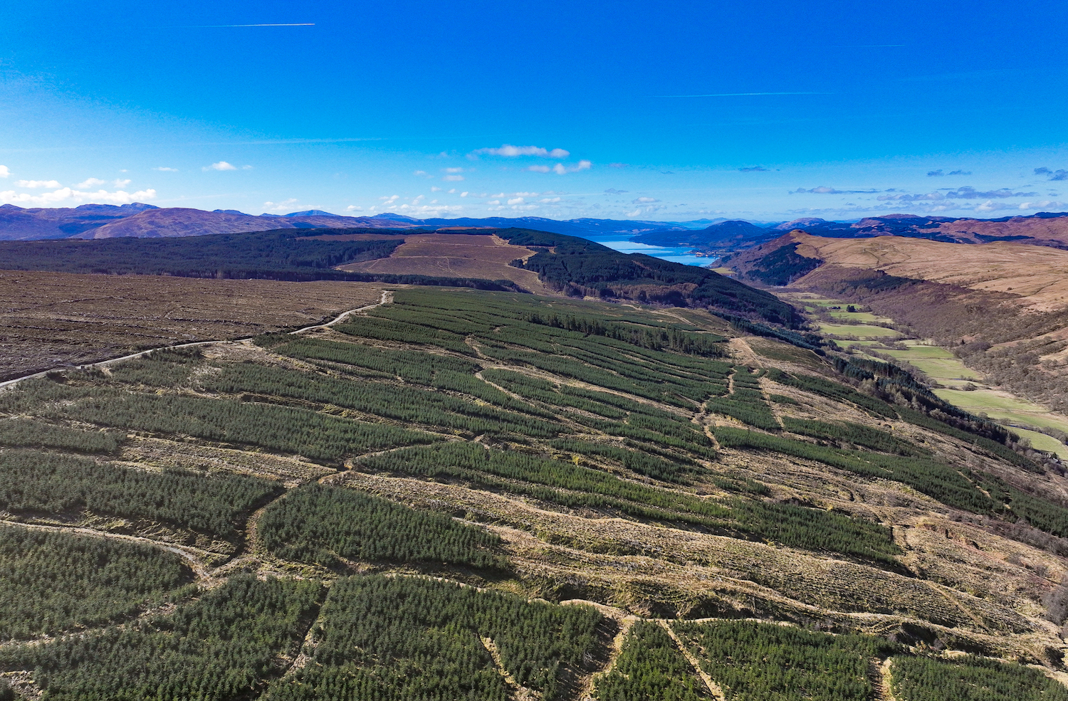 Argyll's Glen Shira Forest hits market at £29m amid high demand for timber investments