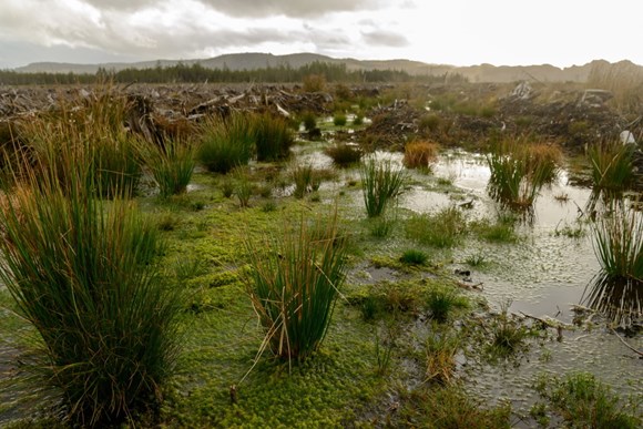 Million-pound opportunity for Argyll and Bute from green recovery