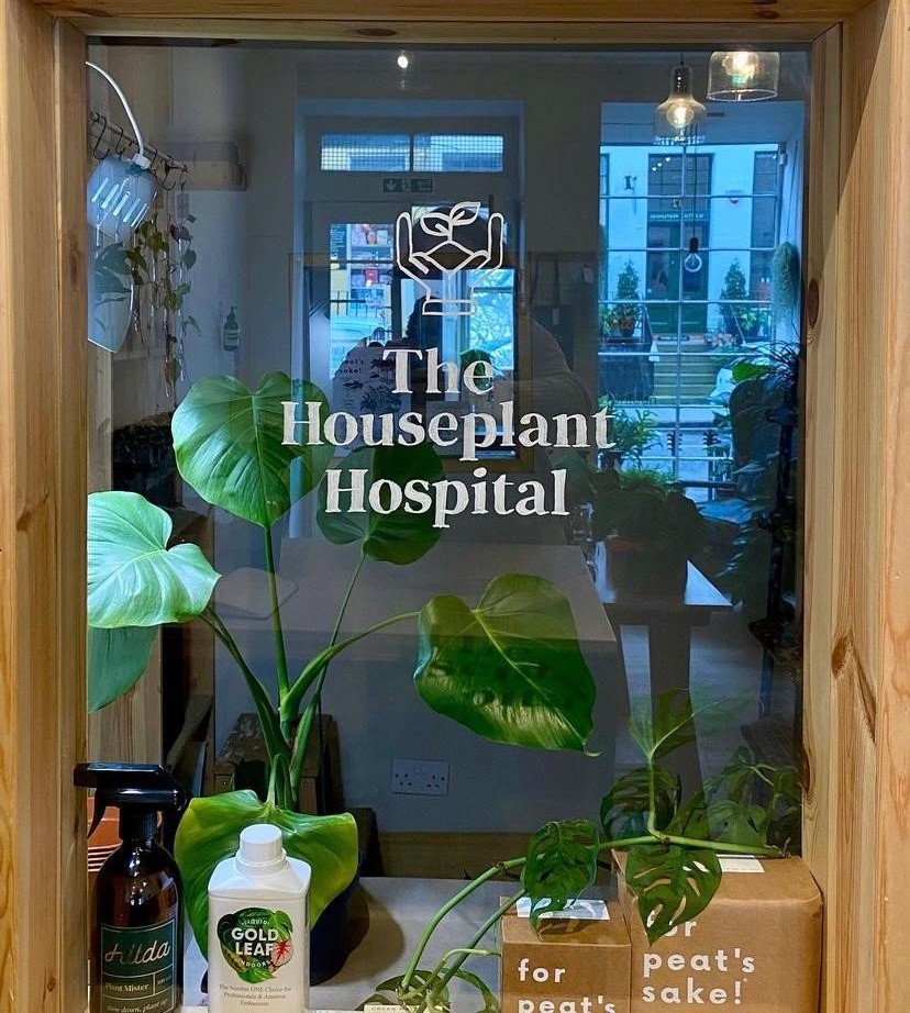 Hilda Houseplants' founders turn passion into profit with Edinburgh's first houseplant hospital