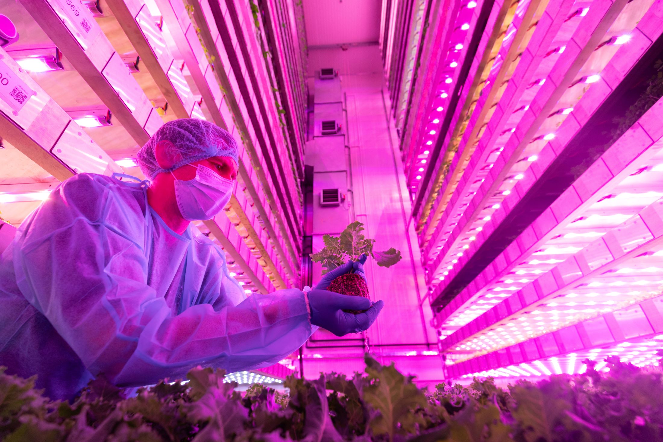 IGS raises record £22.5m to revolutionise vertical farming