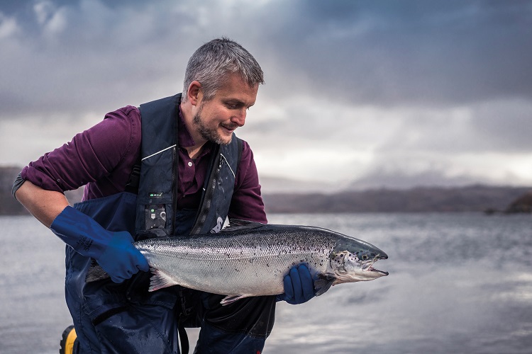 Scottish salmon farm scales up with £1.2m investment from HSBC UK