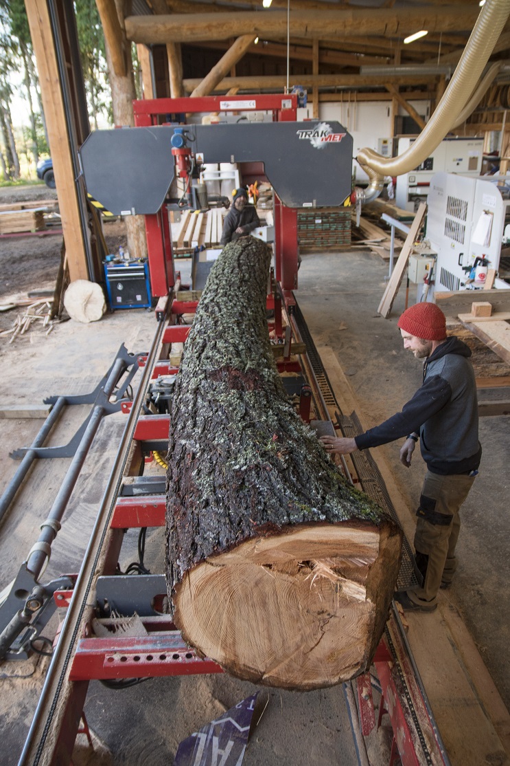 Jobs boost in Moray as timber company invests £240k