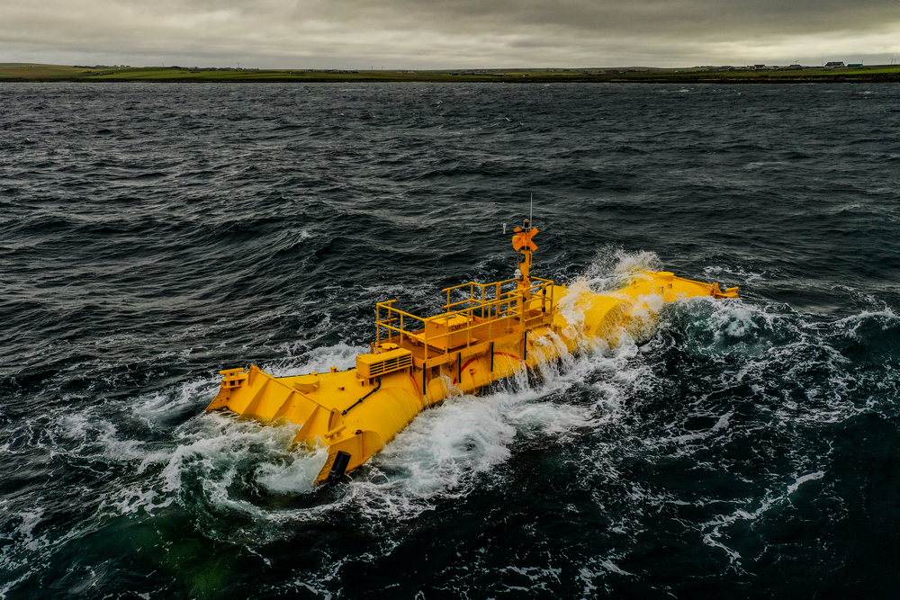 Mocean Energy bolsters board with two key appointments