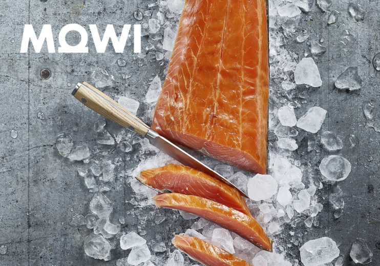 Mowi profits hit by setbacks in Scottish salmon pens
