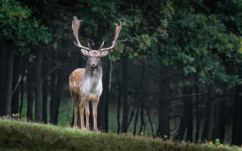 And finally… buck naked