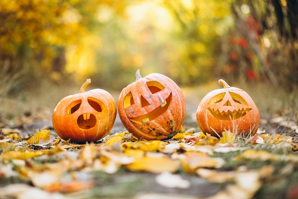 SRC & KPMG: Return of Halloween fails to lift retail sales figures
