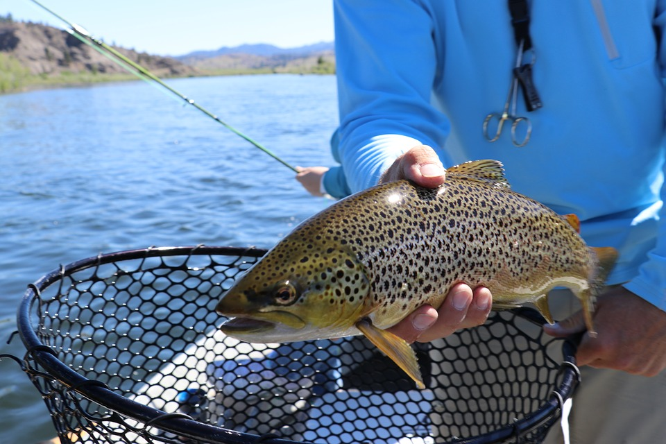 Scottish Government announces £3m support package for aquaculture sector