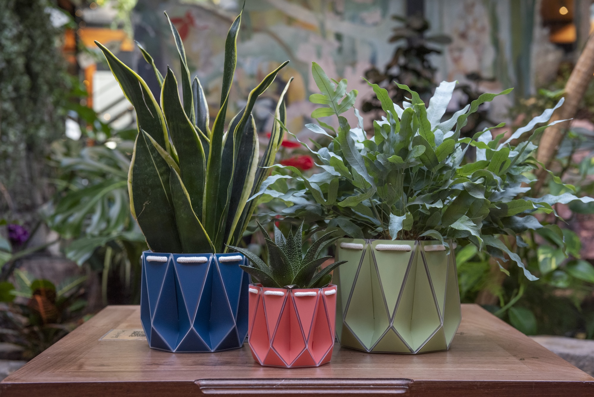 Sustainable Scottish start-up POTR secures $670,000 investment