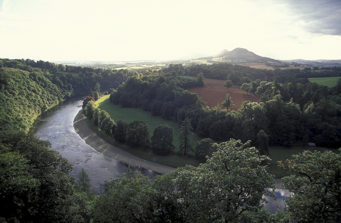 SIS partnership to boost financing for Scotland's nature restoration efforts