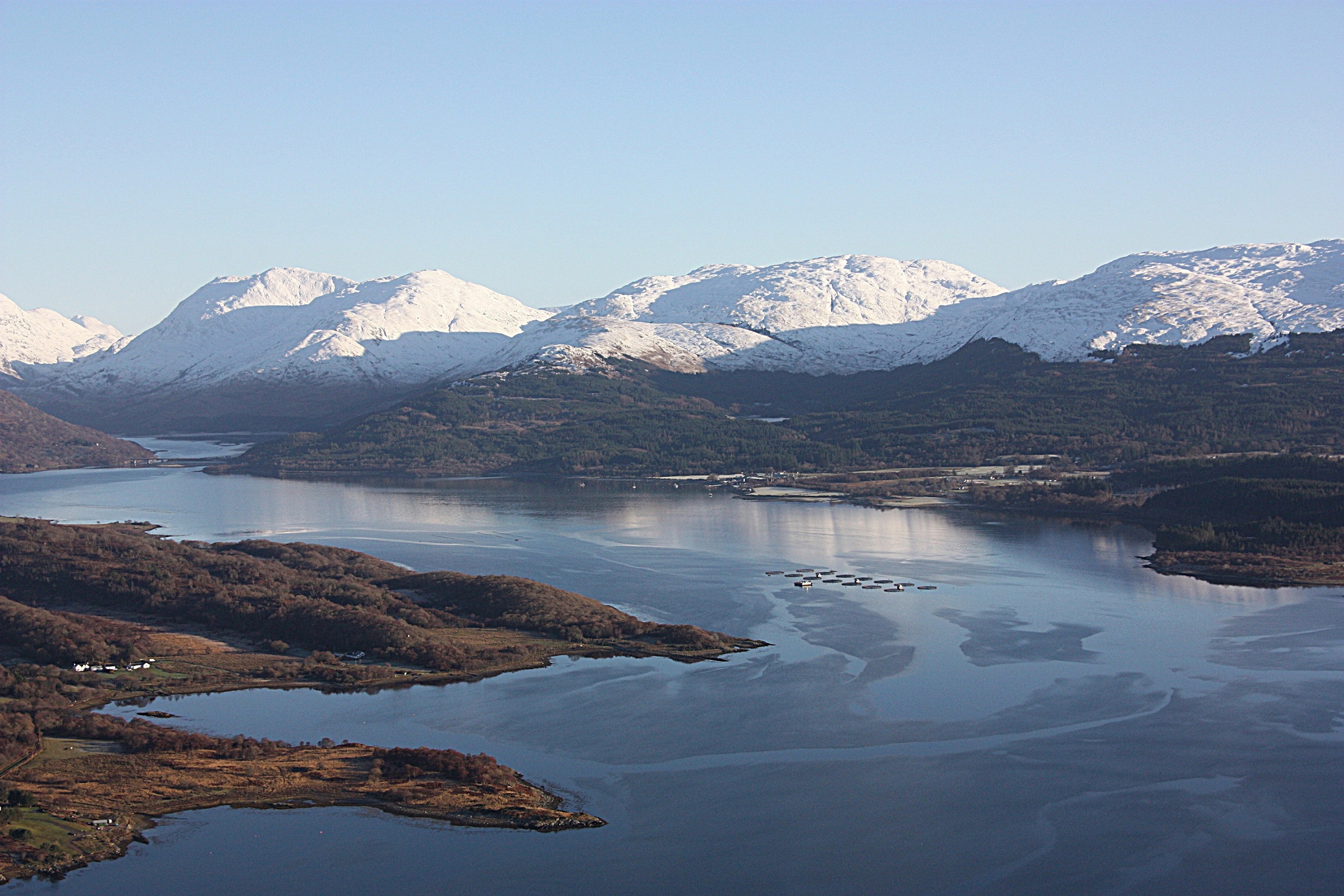 Scottish aquaculture secures £2.2m funding to fuel sustainable growth