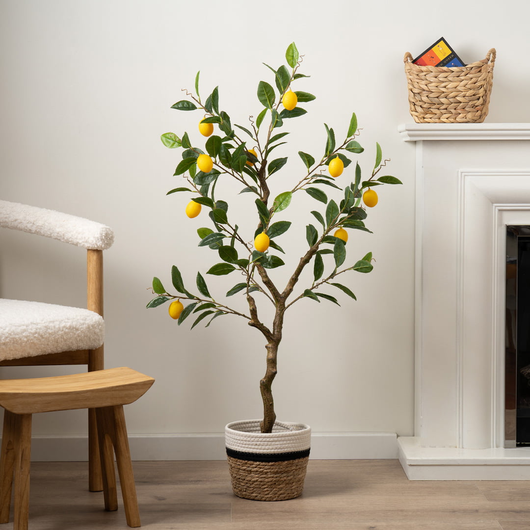 Scottish Everlastings acquired with £2.3m HSBC funding