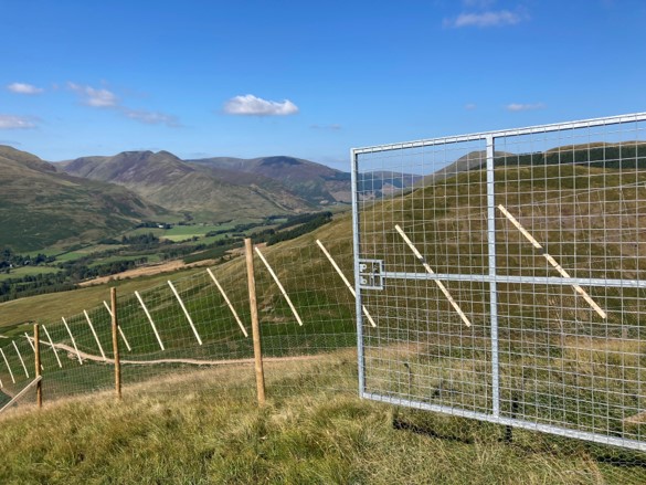 Selcoth Farm roots for biodiversity by planting 180,000 trees with support from Bank of Scotland