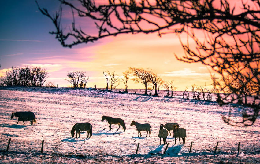 Severe weather cost Scottish farmers £161m in 2018