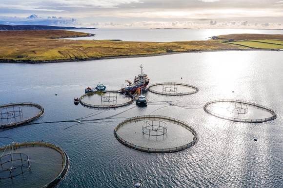 Aquaculture clean energy project secures £129,428 from HIE