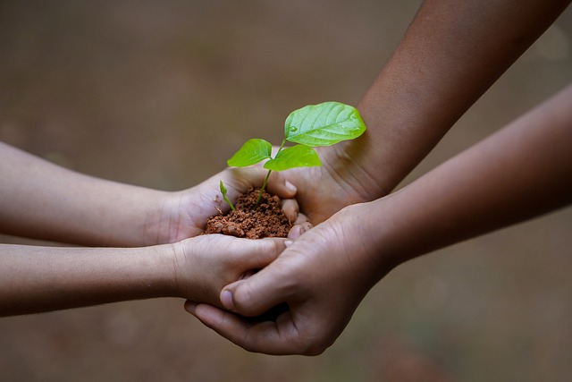 Net zero skills challenge amid £90bn investment in Scotland's green industries