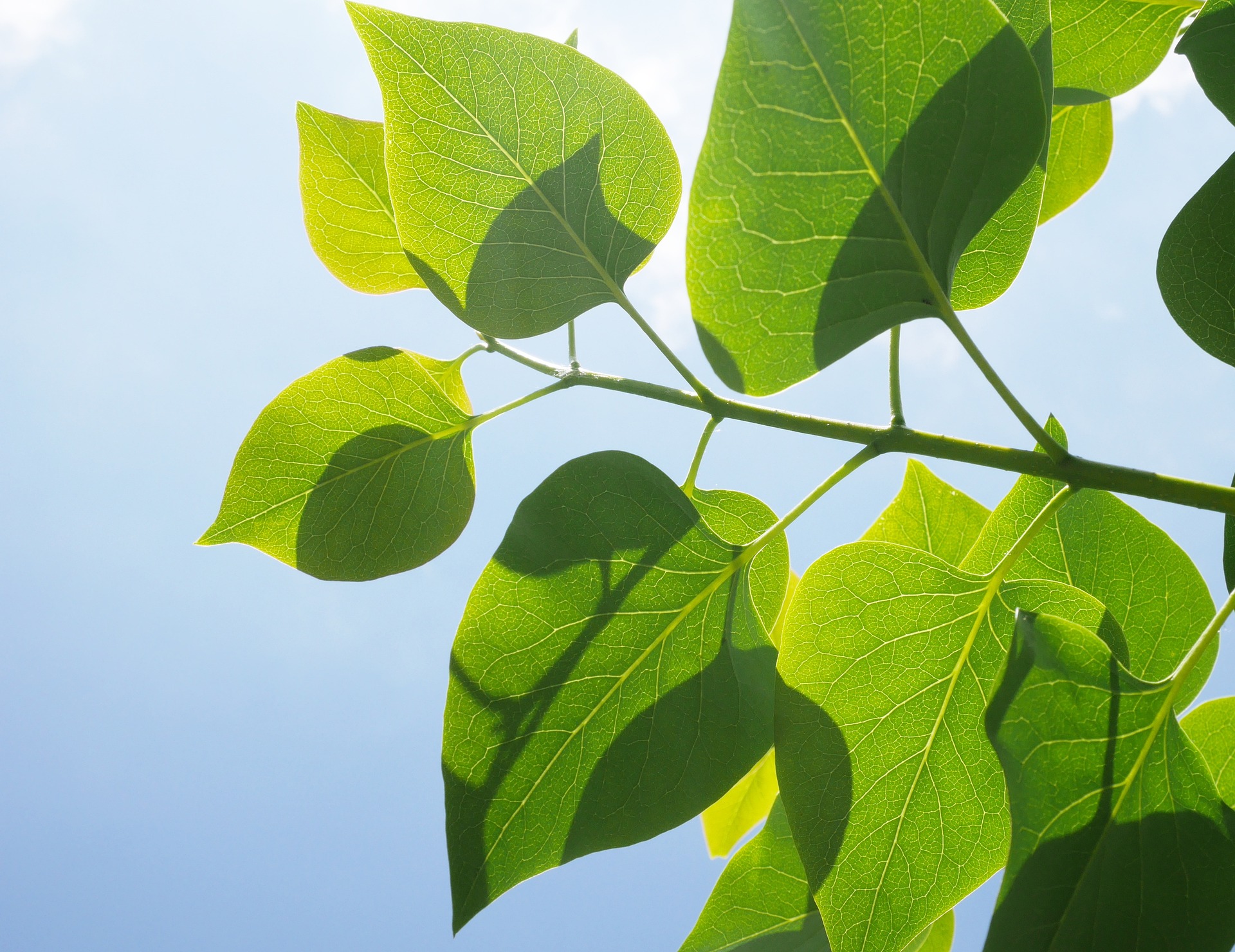 Just 22% of small Scottish businesses expect to be net zero by 2045
