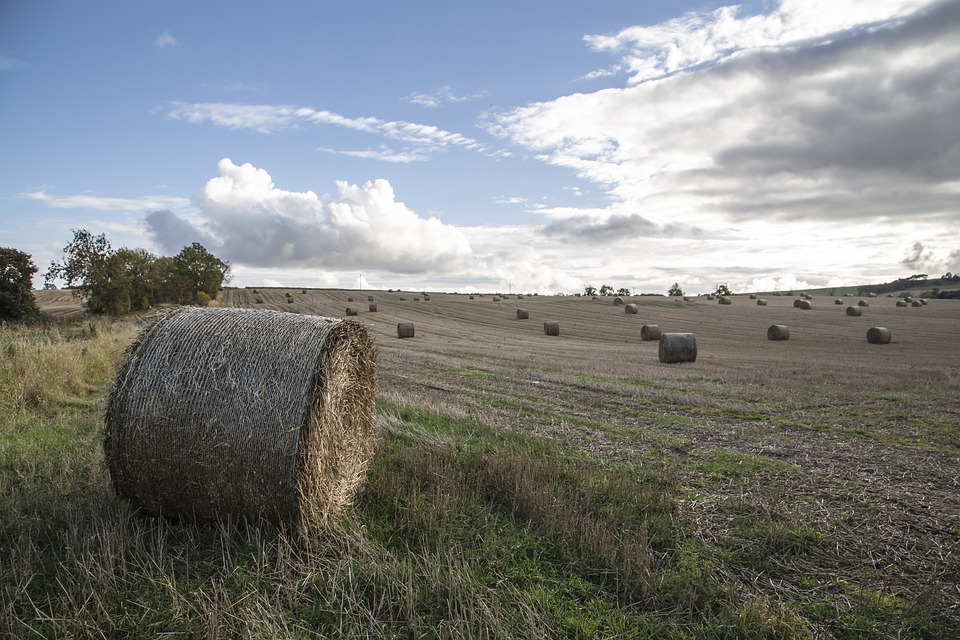 Scottish farm business income at six year high