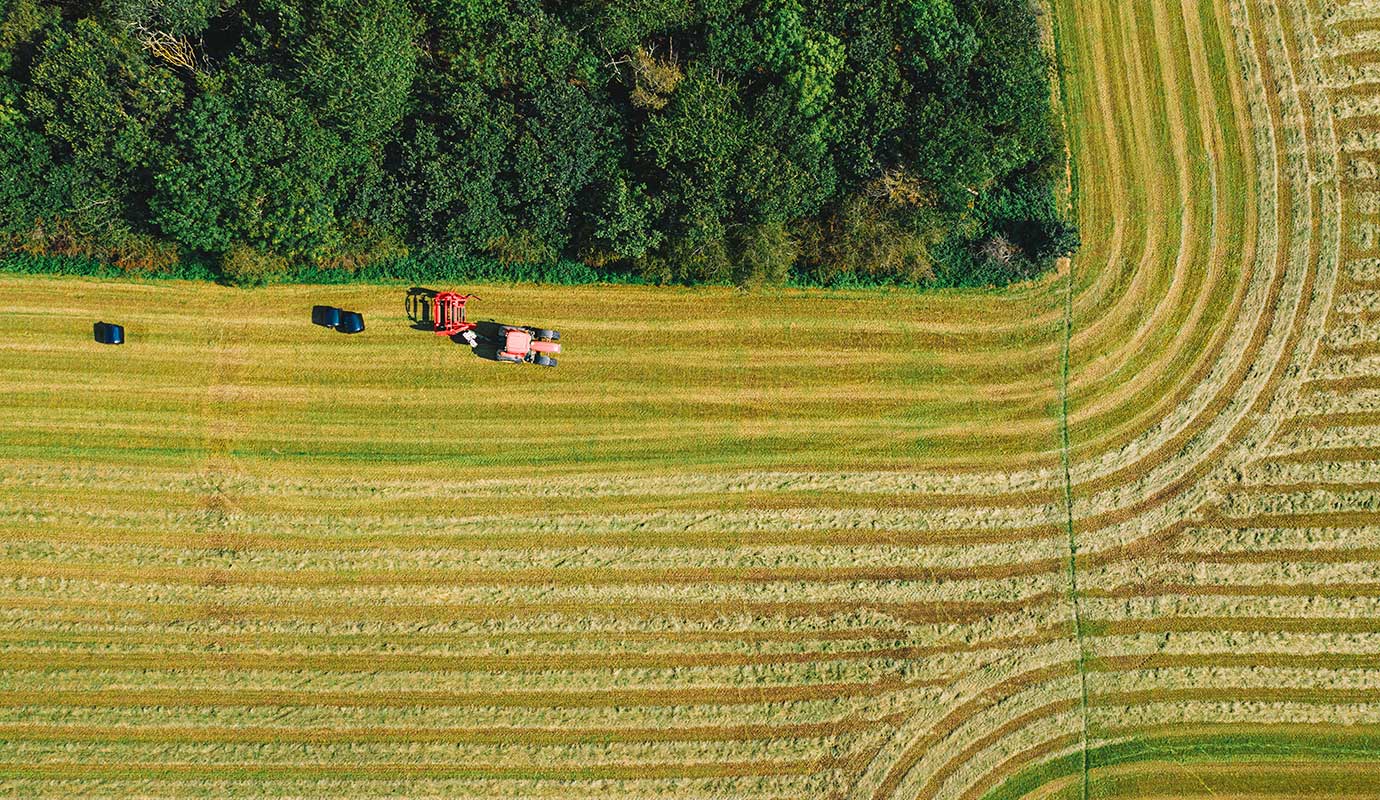 Scottish Borders Council Pension Fund invests in natural capital