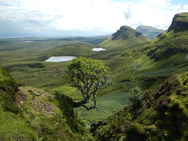 New insights into Scotland’s rural land market unveiled